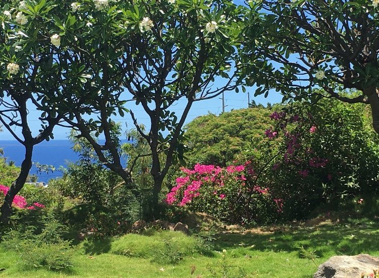 Pua Mau Place, United States